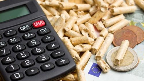 BAFA Förderung 2024