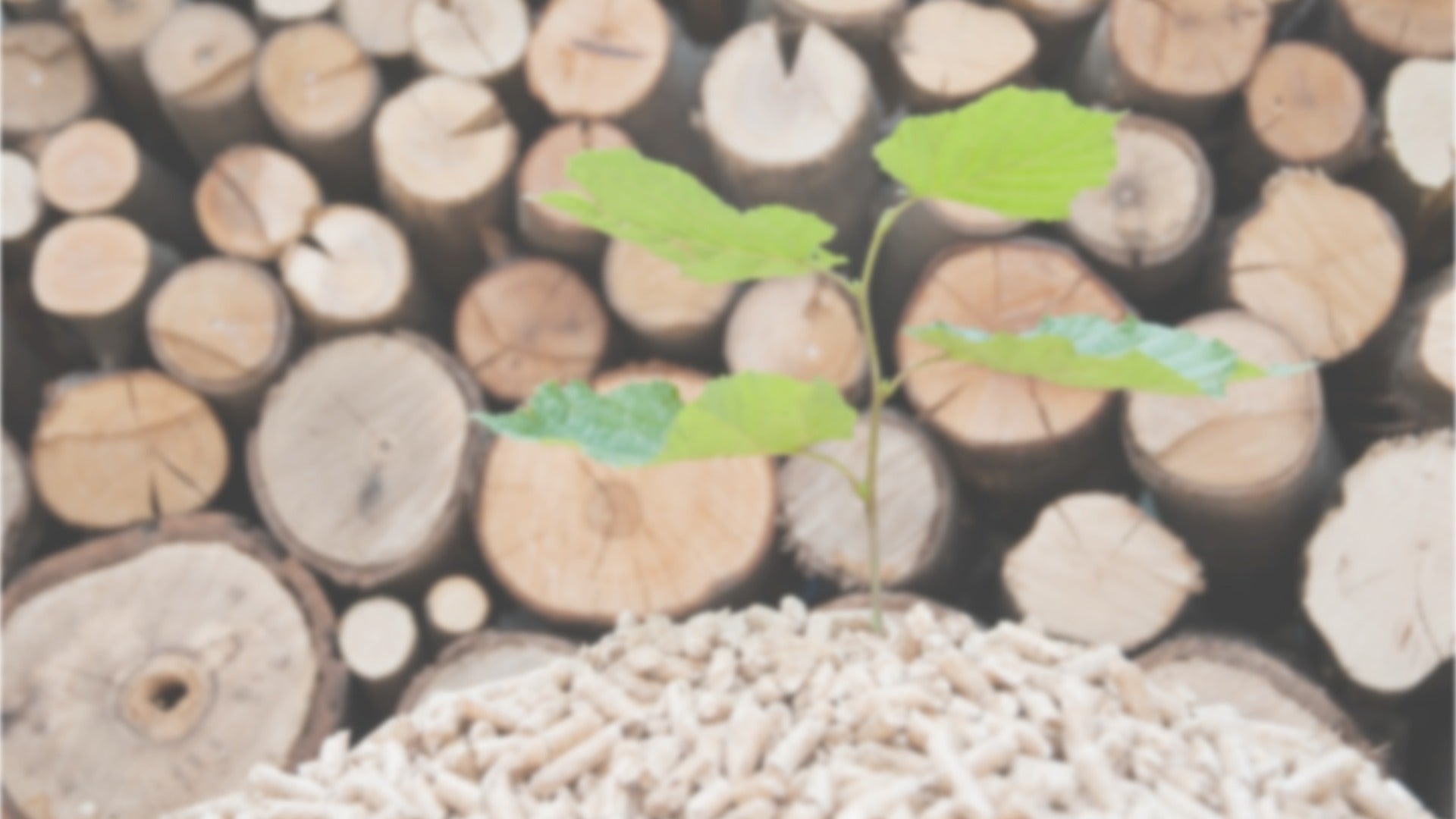 Kombikessel-Holz-Pellets-Heizerschwaben