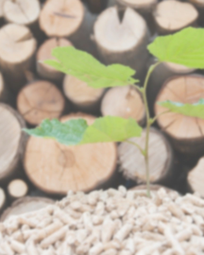 Kombikessel-Holz-Pellets-Heizerschwaben